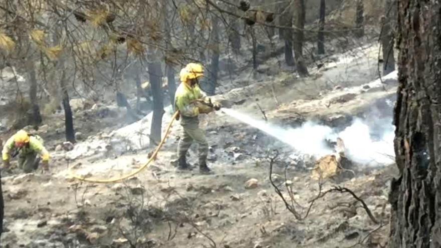 El incendio de Serrella y Confrides ha quemado 30 hectáreas de monte