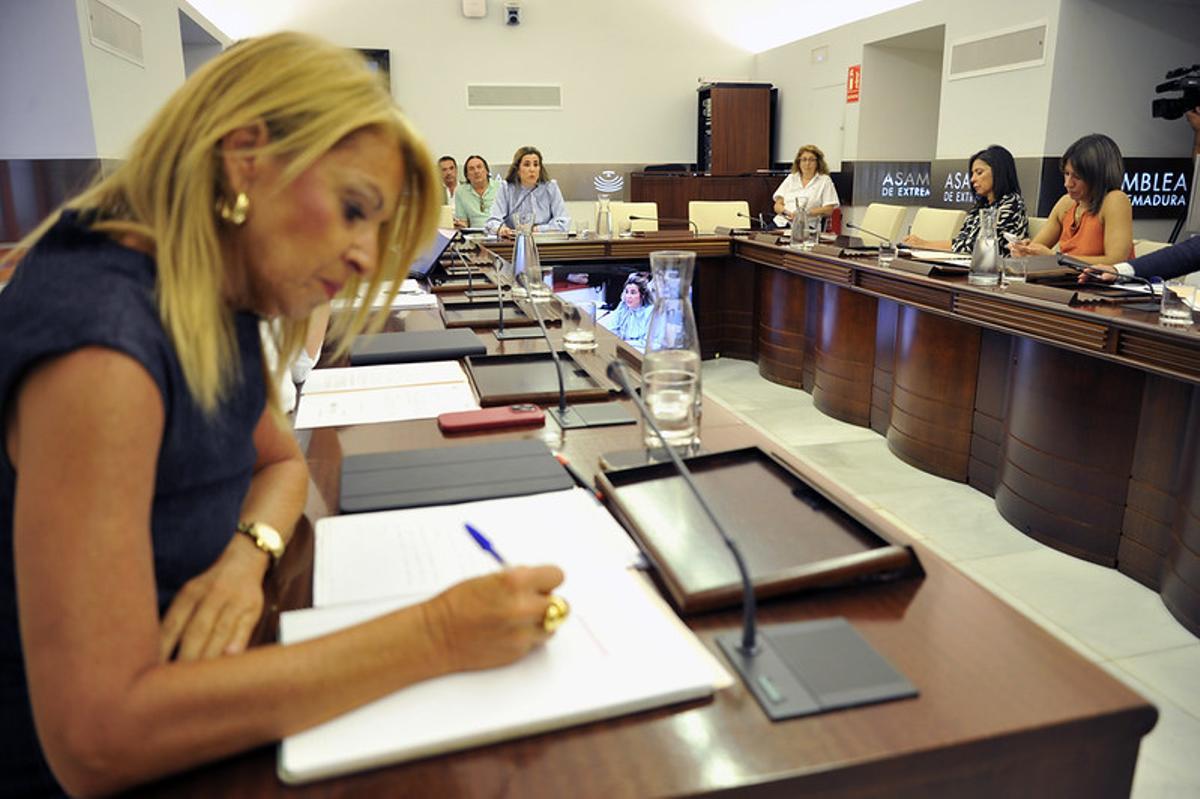 La portavoz socialista, Piedad Álvarez, en primer término durante la comisión de este martes.