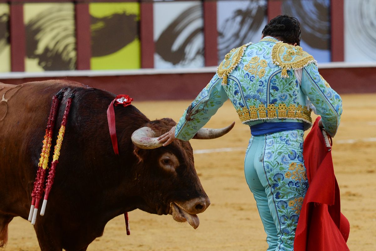 Los toros vuelven a La Malagueta