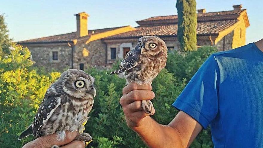 «Dos mussols més i dues dones ben felices» a Vilajuïga