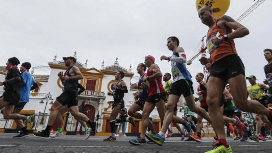 Corredores en el Maratón de Sevilla