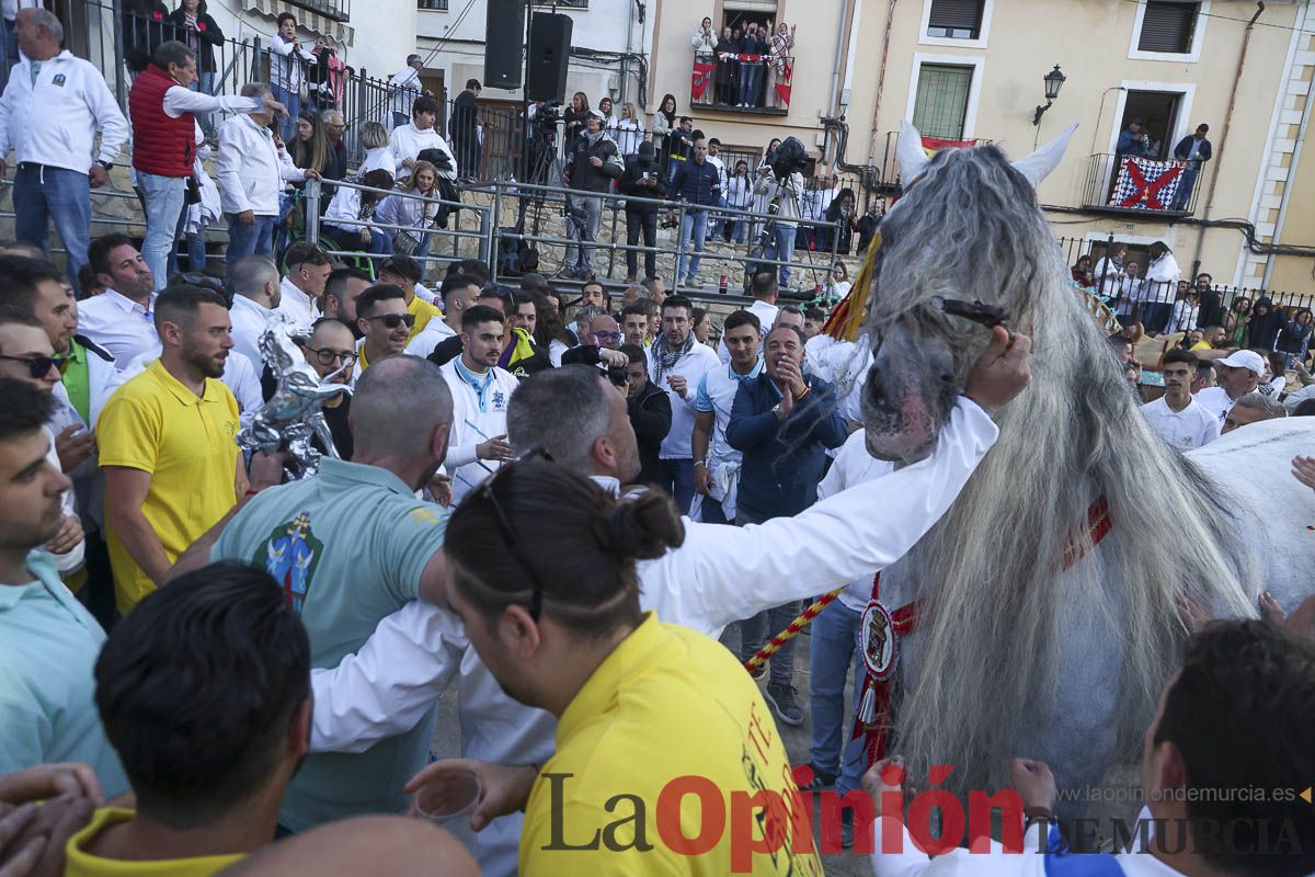 Entrega de premios del concurso de 'Caballo a pelo' en Caravaca