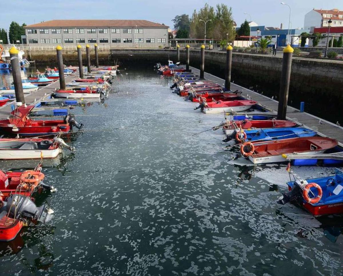 Un vertido de cloro arrasa con la fauna del muelle de Vilanova