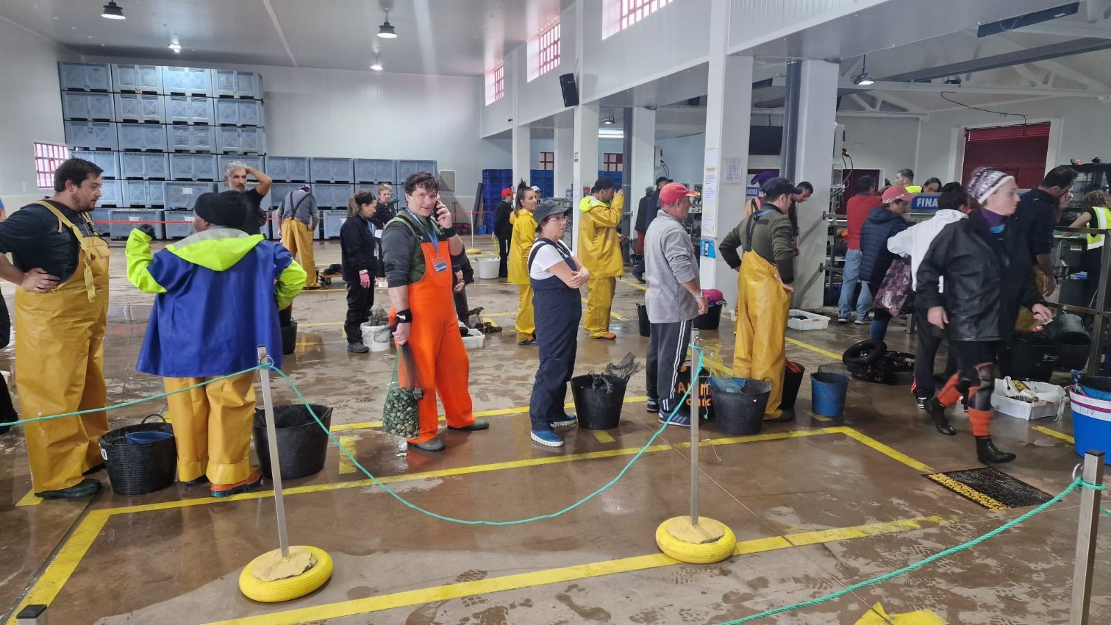 Así es el día a día en el puerto y la lonja de O Testal (Noia), donde cada vez se dan cita más mariscadores arousanos.