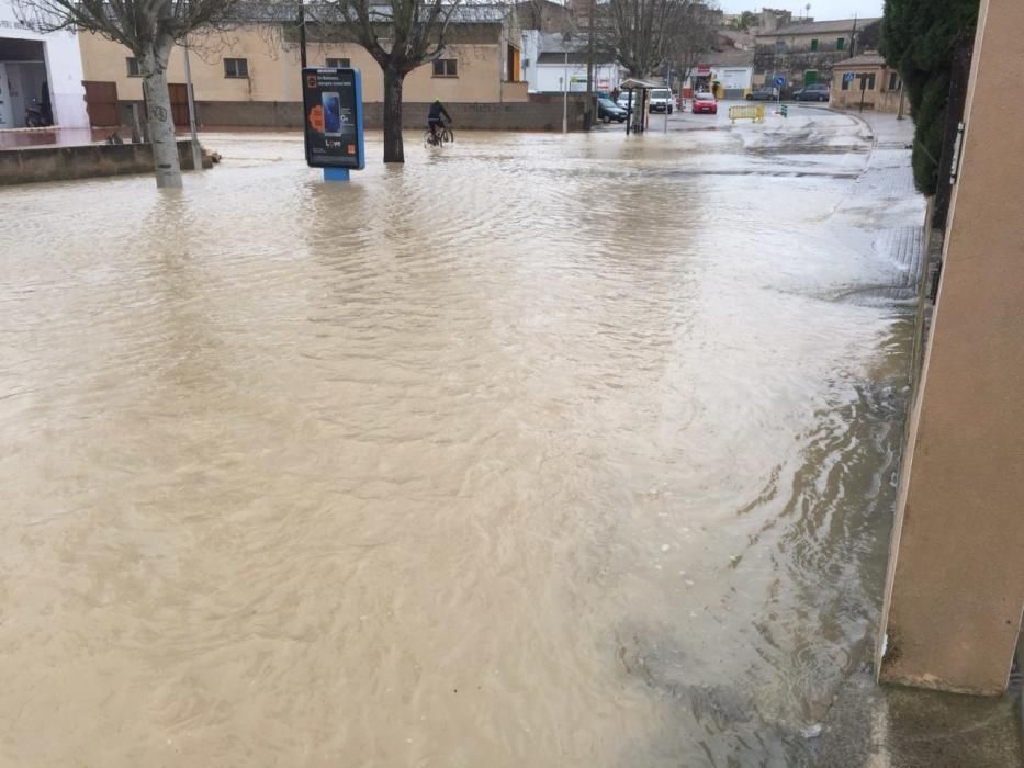 Los estragos del temporal en Mallorca