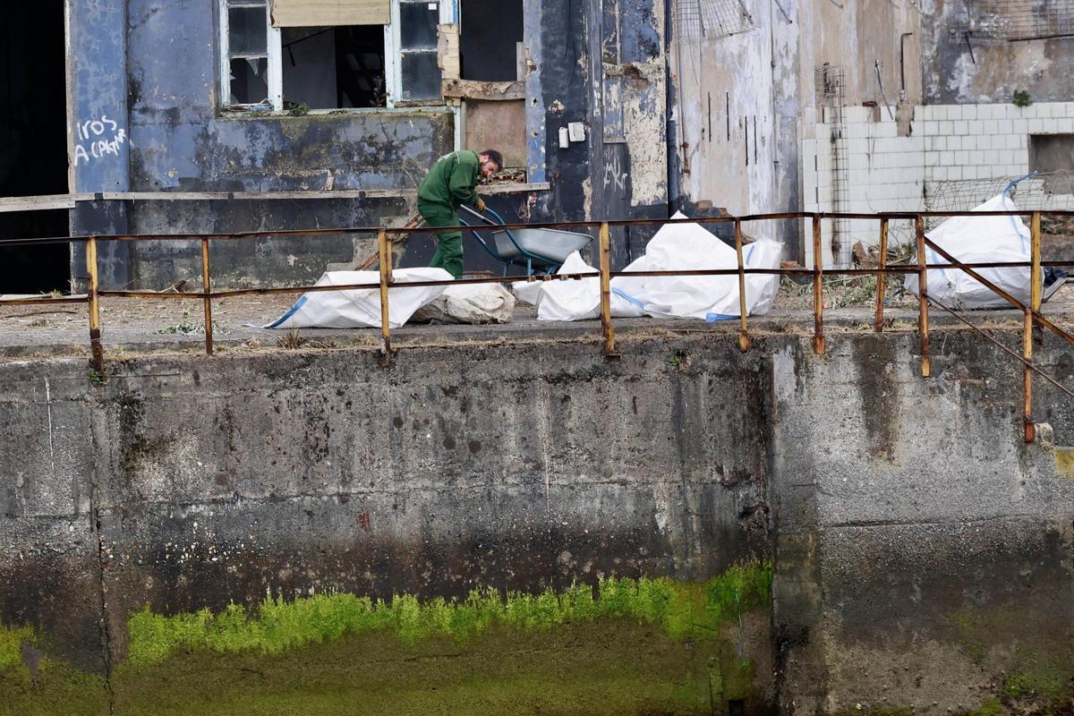Pymar arranca los trabajos de limpieza en sus terrenos de Naval Gijón (en imágenes)