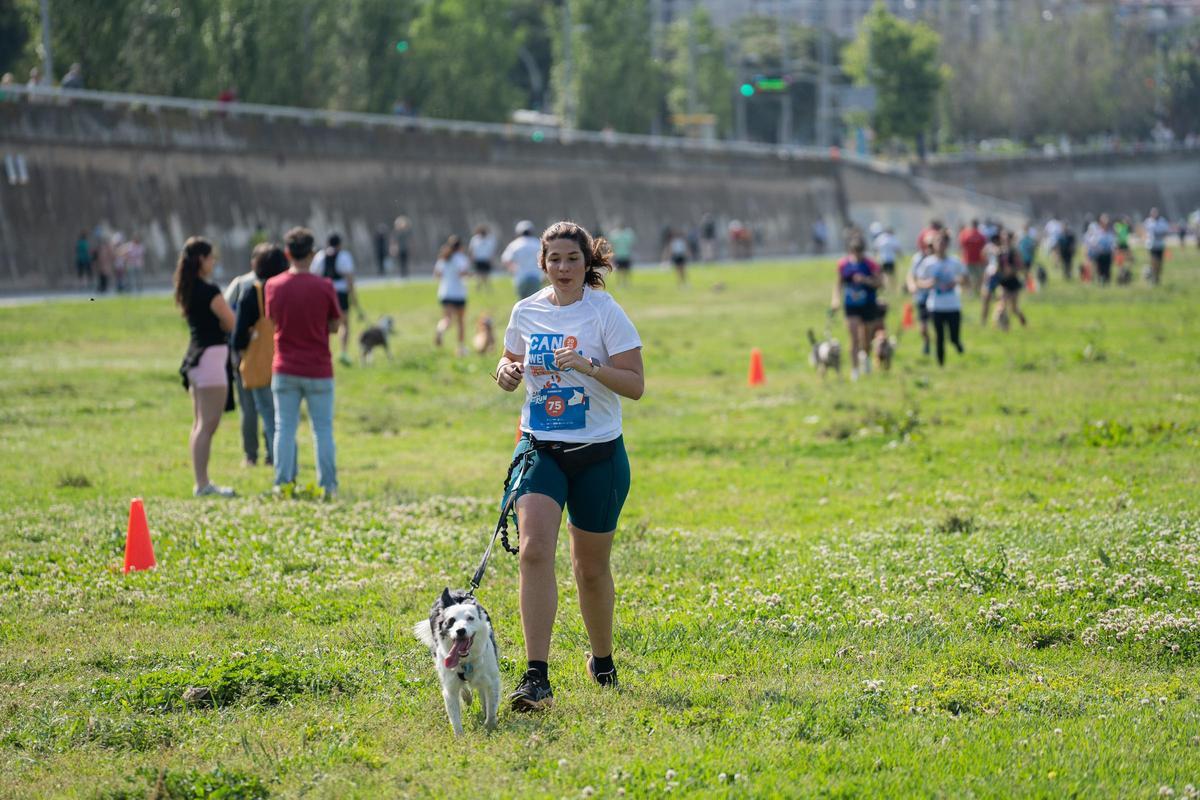 Carrera Can We Run 2025