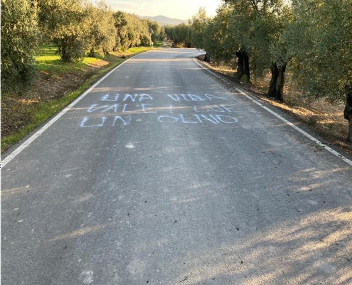 Pintada realizada por los vecinos en la carretera invadida por olivos.