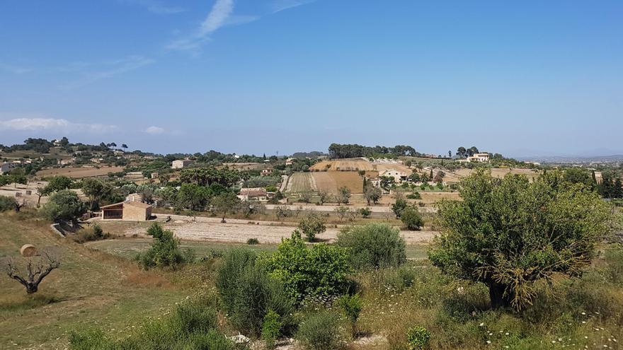 Das Landleben auf Mallorca ist schön, aber sicher kein Ponyhof