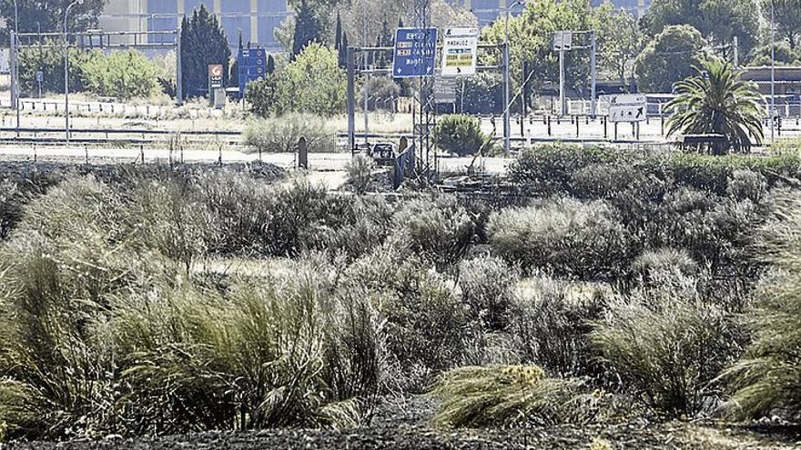 El Ayuntamiento de Badajoz estudiará cómo limpiar y vigilar la zona del incendio de Caya