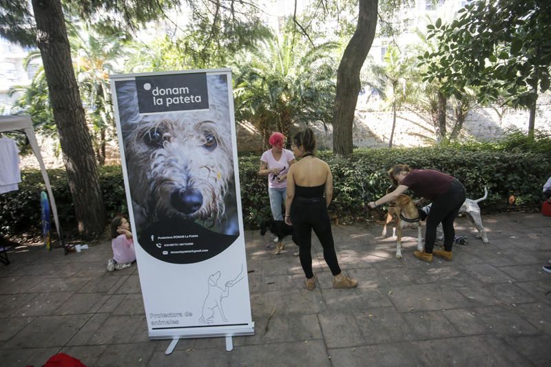 Feria Animalista en el cauce del Turia