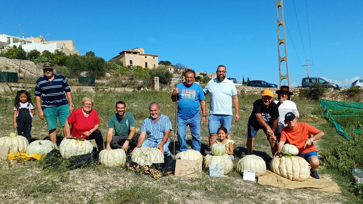 Fira de la Carabassa de Muro | El experto Miquel Cloquell: «En la finca experimental de calabazas, todos tienen la oportunidad de aprender»