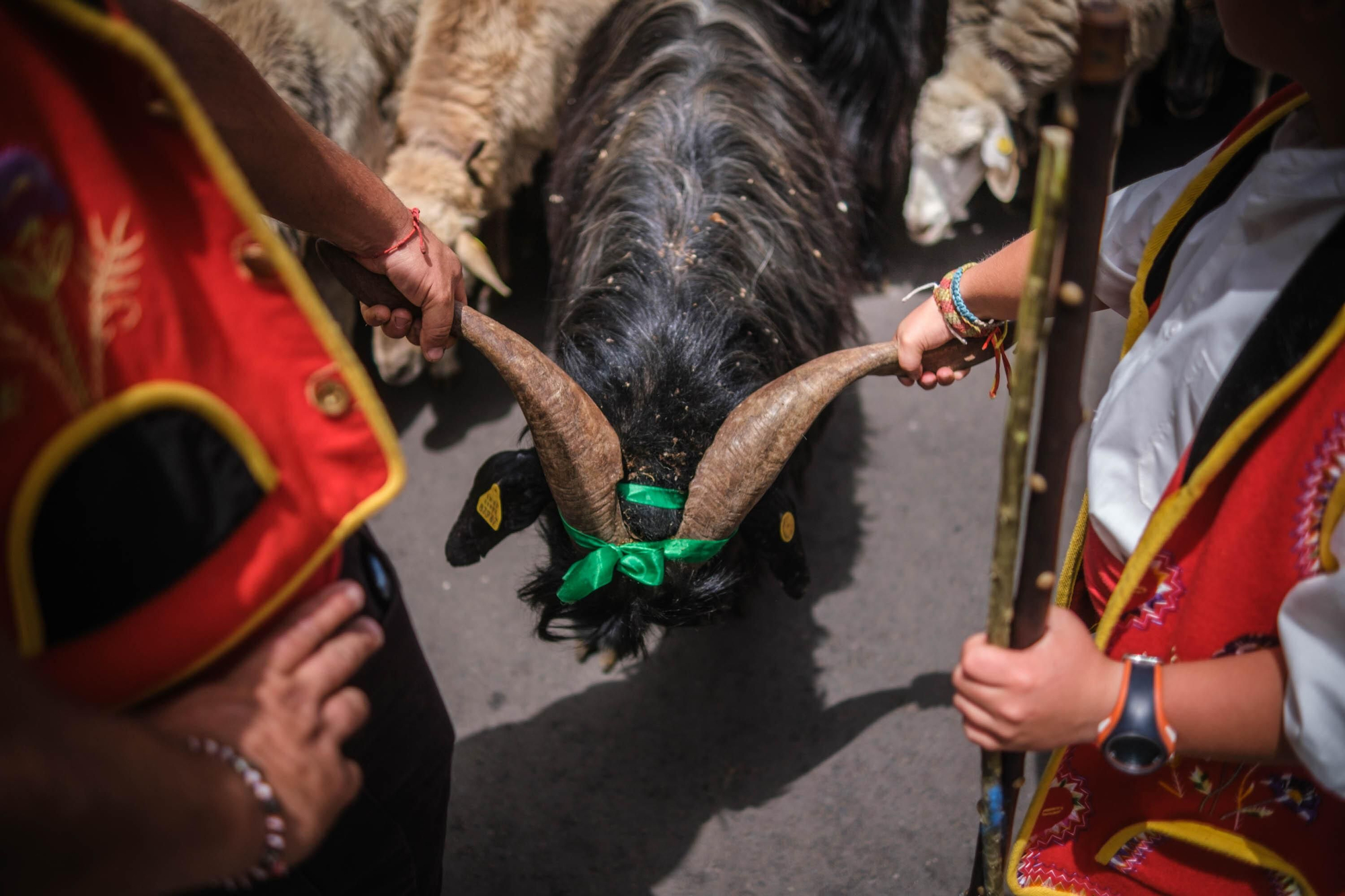 Romería de San Benito en La Laguna