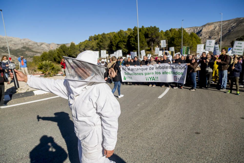 Agricultores de la provincia se manifiestan contra el plan de erradicación de la Xylella del Consell