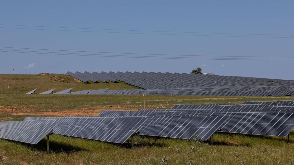 Parque de placas solares en Zamora.