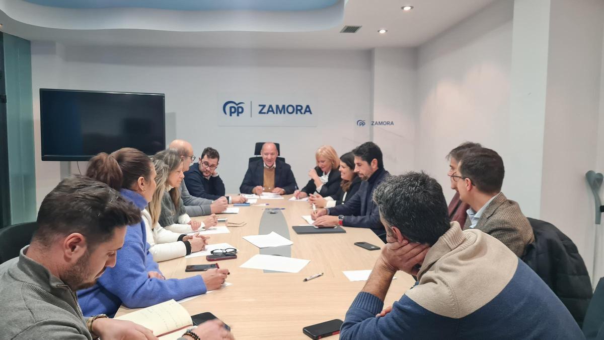 Reunión del Comité de Dirección del PP de Zamora.
