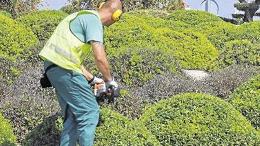 Moncofa propone recuperar el servicio de arreglo de jardines