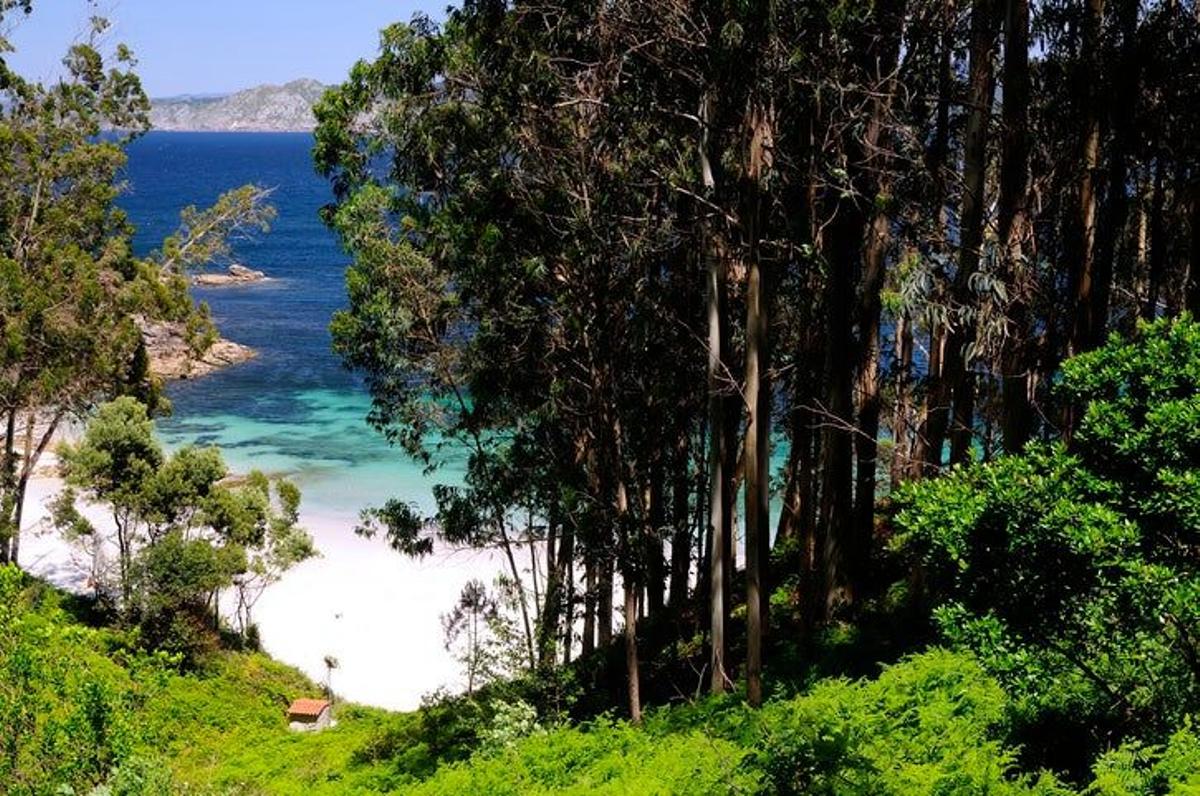 Playa de Figueiras, Islas Cíes, Vigo