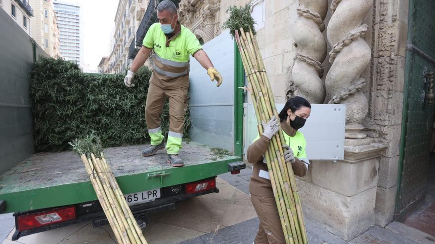 Quince mil cañas con romero se repartirán mañana para la peregrinación a la Santa Faz