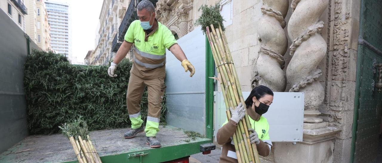 LLegada de las cañas para la romería a la plaza del Ayuntamiento