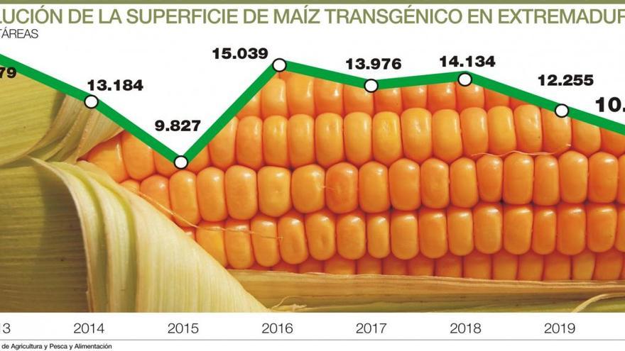 La región pierde una cuarta parte de su superficie de transgénicos en dos años