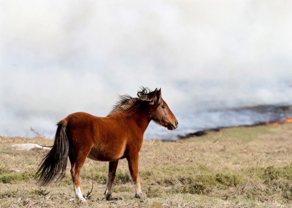 Incendis a Galícia