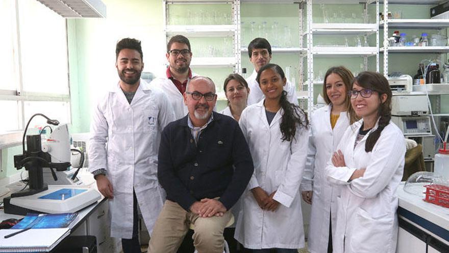 Equipo de investigación en el que participan universitarios brasileños.