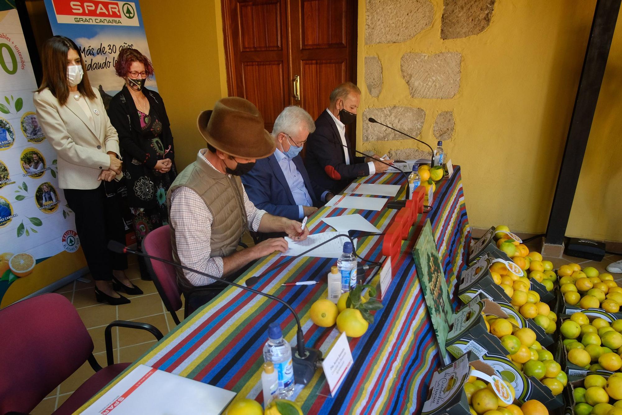 Spar venderá en sus tiendas de Gran Canaria naranjas del municipio de Telde