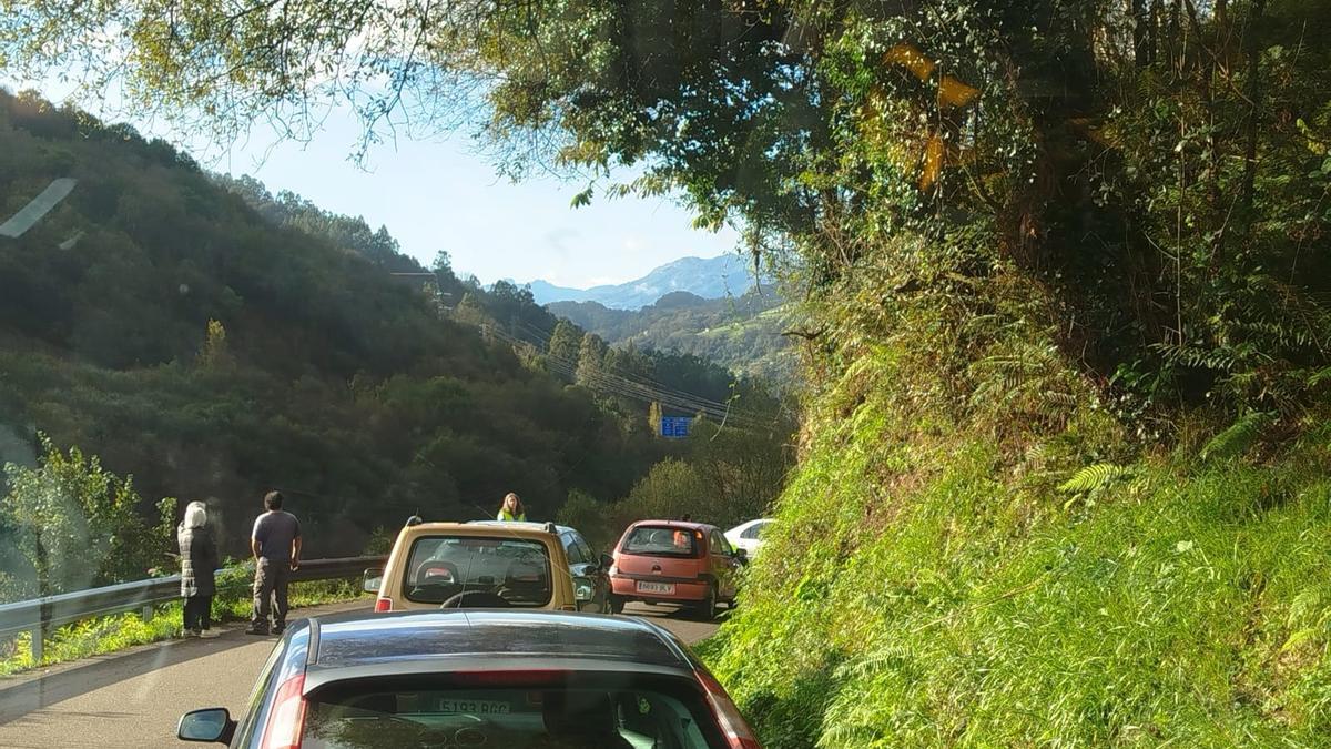 Vehículos parados en la carretera en el momento de accidente.