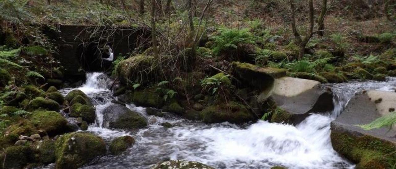 Confluencia do río Maceira co río da Fraga, en Moaña.   | MANUEL UXÍO