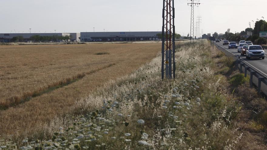 Amazon tendrá un centro logístico en la carretera de Palma