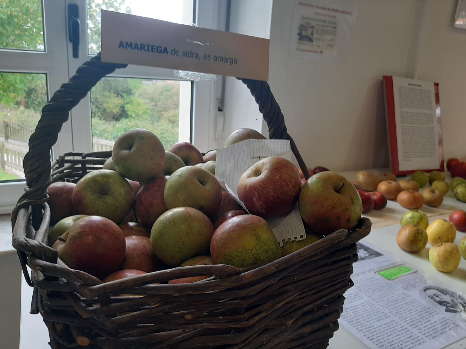 Muñó, capital de la manzana de Siero: así ha sido la exposición de variedades organizada por los vecinos