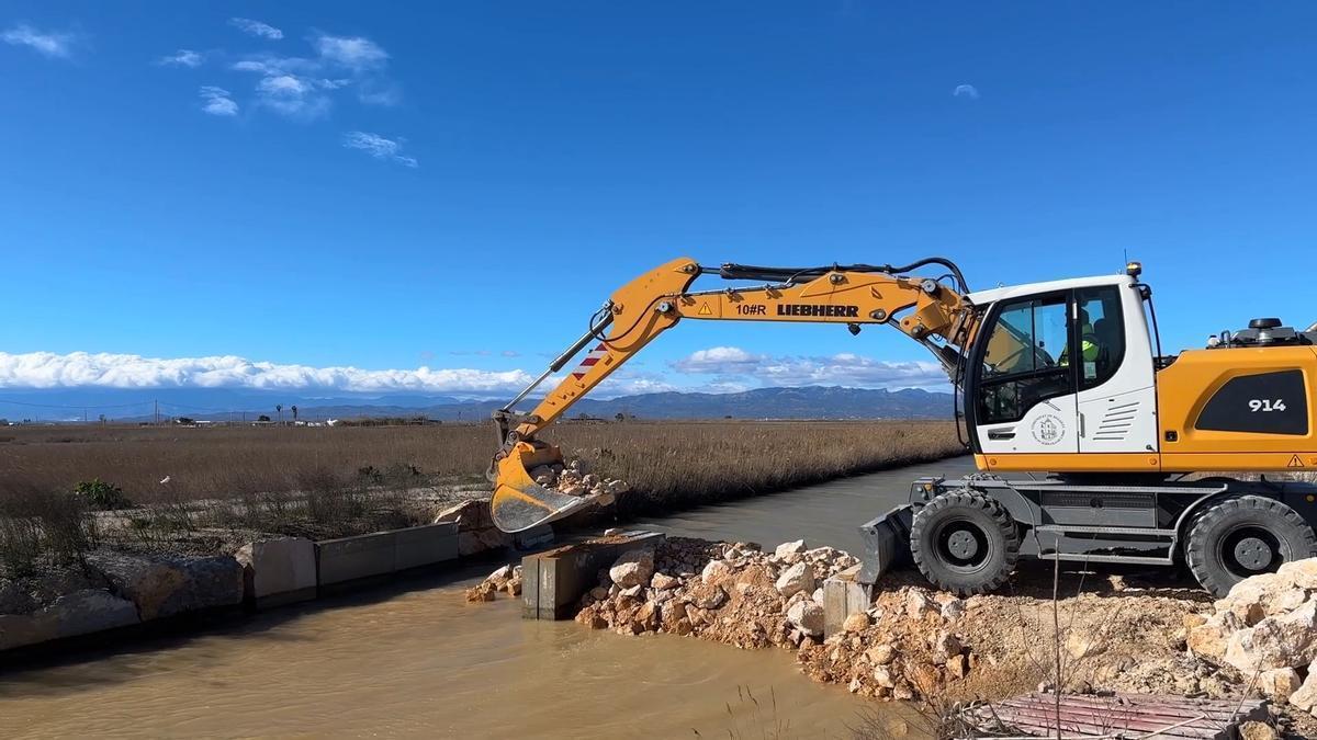 Vídeo | El agua del mar inunda los arrozales del delta del Ebre, que pierden la cosecha