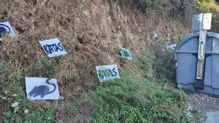 Una curiosa y original llamada de atención por la presencia de ratas en Cangas