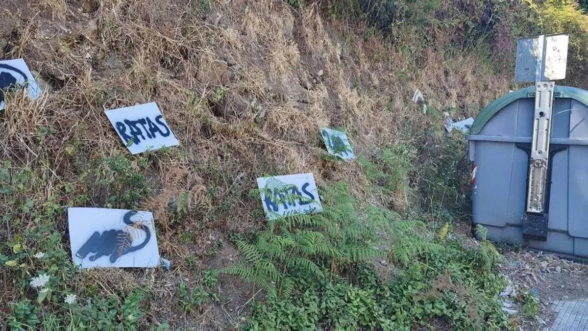 Una curiosa y original llamada de atención por la presencia de ratas en Cangas