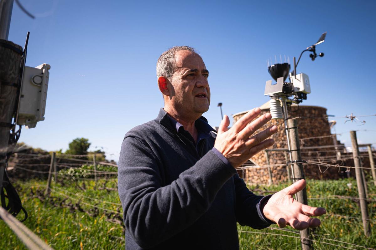 Implementación de la Inteligencia Artificial en la producción de bodegas Viñátigo
