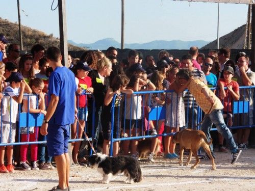 Festival canino en Molina