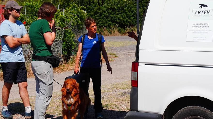 La Generalitat colabora en el adiestramiento de perros rastreadores para detectar la presencia de especies invasoras de galápagos