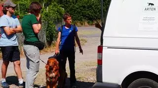 La Generalitat colabora en el adiestramiento de perros rastreadores para detectar la presencia de especies invasoras de galápagos