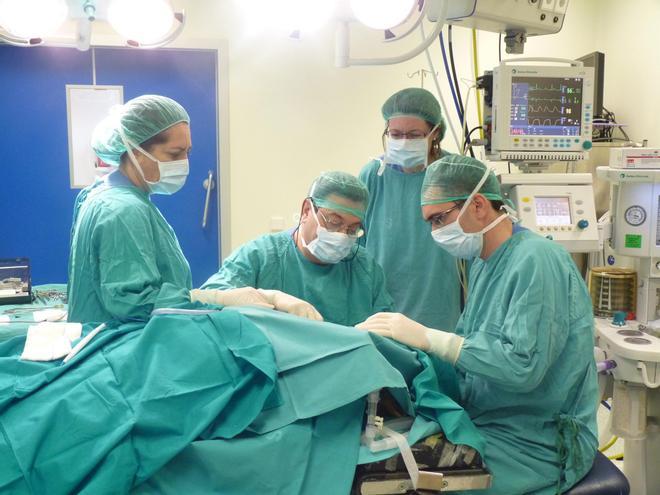 "¿No será que el incremento de bajas laborales se debe a las largas listas de espera?"