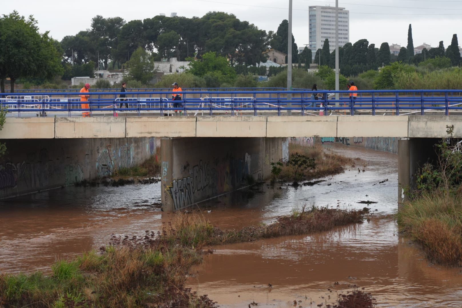 Galería de fotos: Los desperfectos que han provocado las fuertes lluvias en Castellón