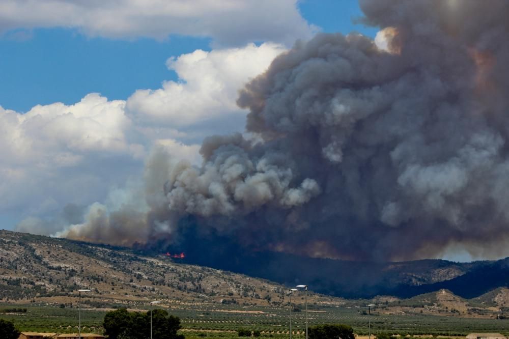 Cinco dotaciones de bomberos, tres unidades de bomberos forestales, siete medios aéreos y unos 40 efectivos terrestres tratan de contener el fuego