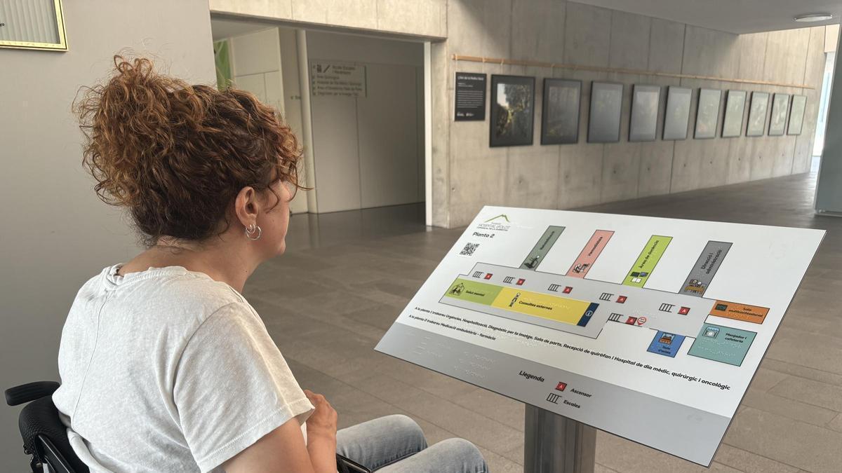 Un dels plafons de l'entrada a l'hospital d'Olot.