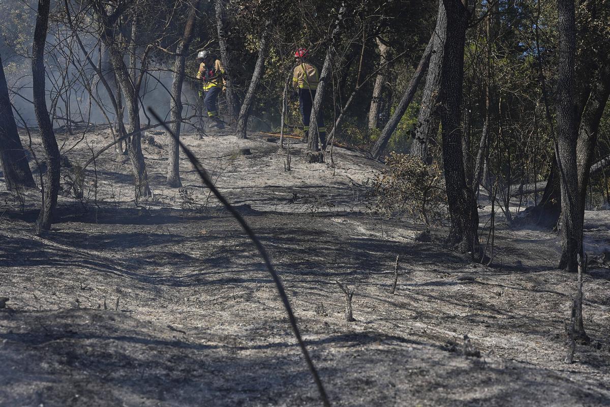 Les imatges de l'incendi de Vilavenut Les imatges de l'incendi de Vilavenut