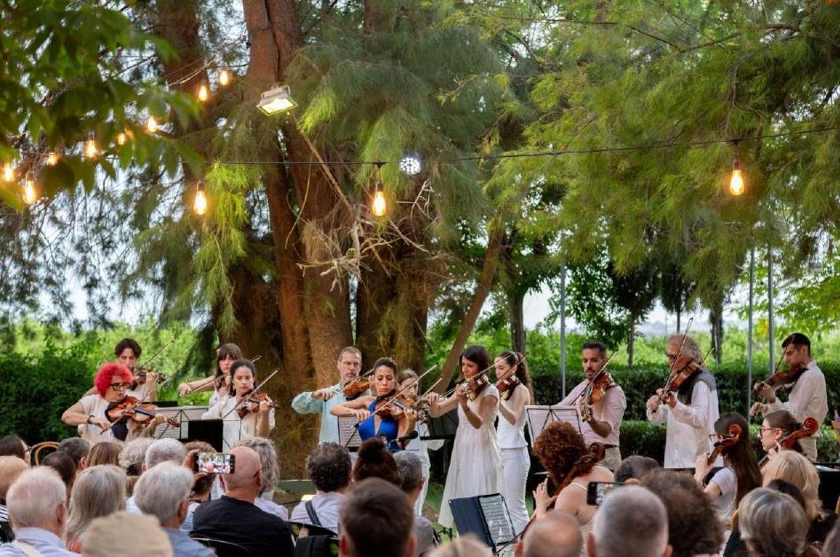 Projecte Les Estacions de Vivaldi   Orquestra de l'Horta Sud