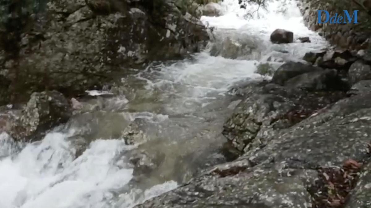 Una imagen de la fuerza con la que bajaba el agua en el torrente de l'Assarell