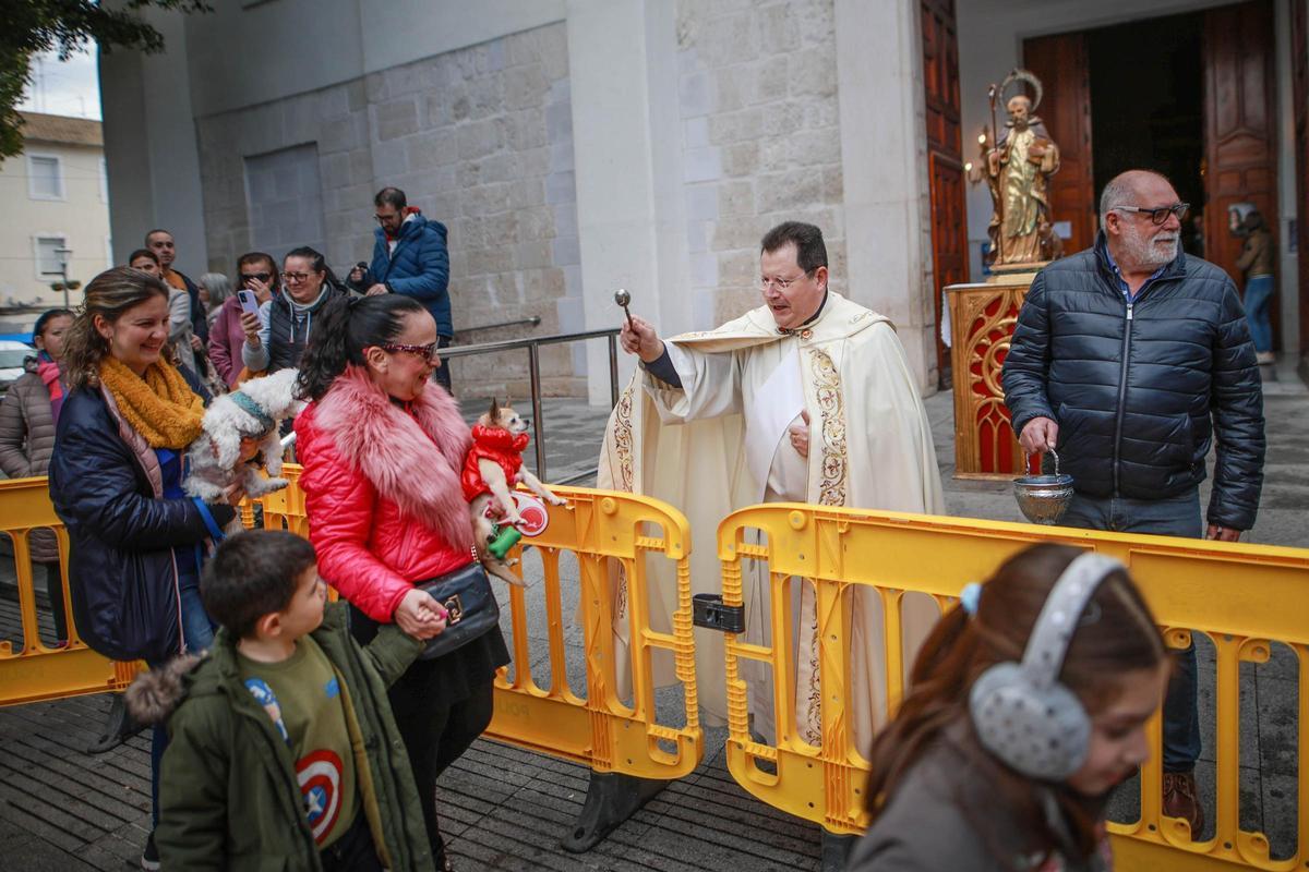 Las mejores imágenes de la bendición de animales de San Antón en Amoradí 2026 están aquí