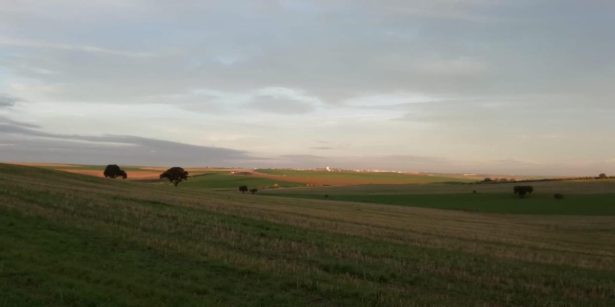 Tierras de labor afectadas por la ZEPA del Guadiato.