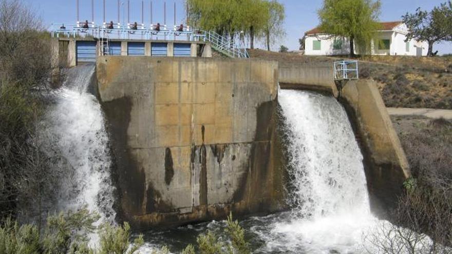 Suelta de agua para regar los cultivos en la margen derecha del Tera.