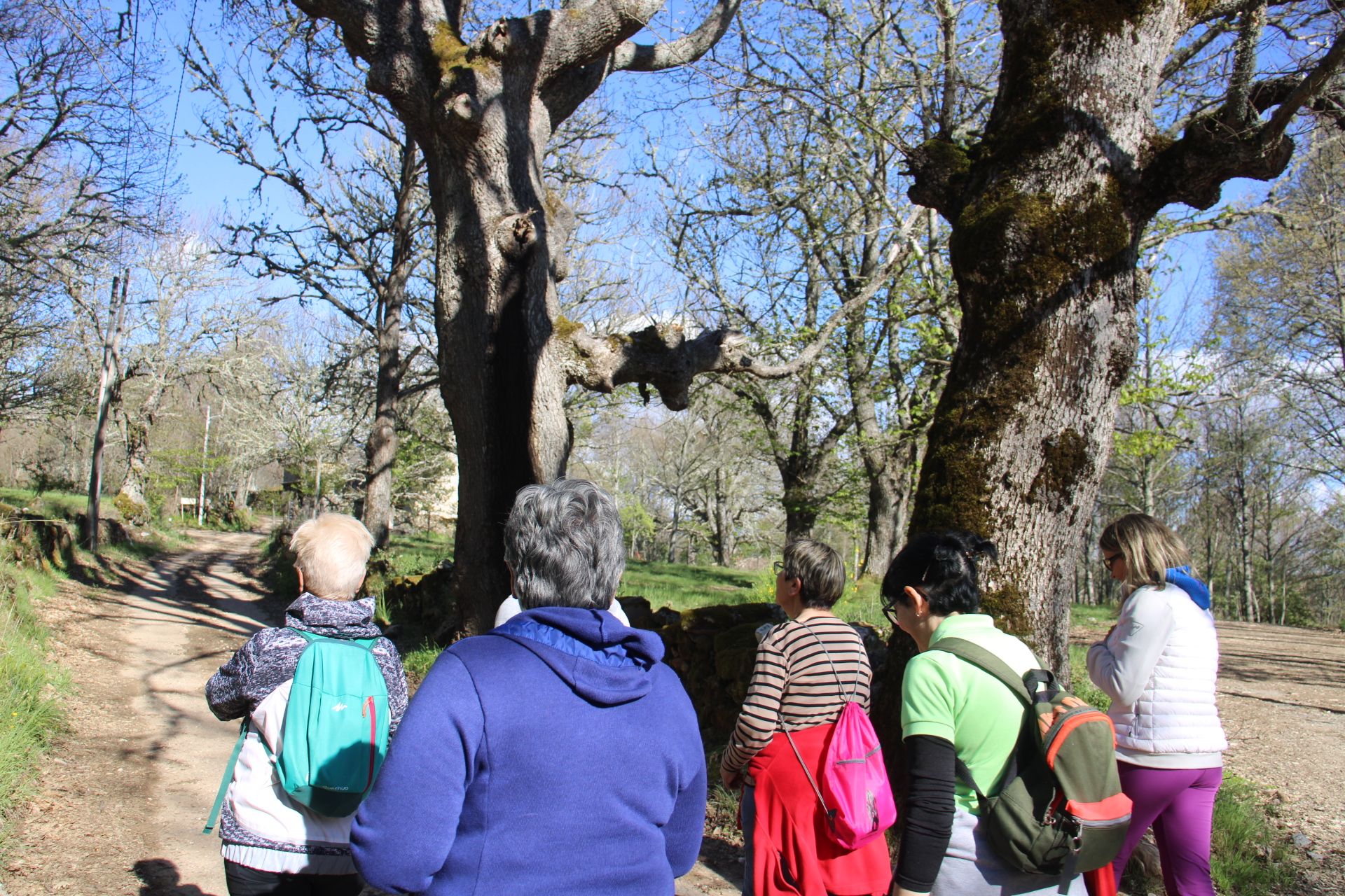 GALERÍA | Jornada de convivencia del Centro de Adultos de Sanabria